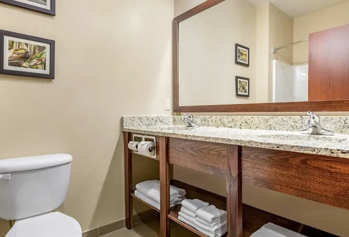 Comfort Inn & Suites Davenport - Quad Cities 4