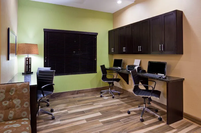 Holiday Inn Express & Suites Davenport by IHG 4