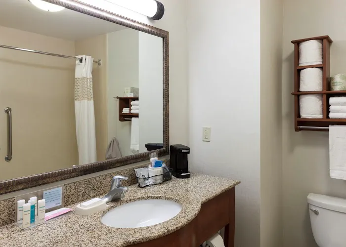 Hampton Inn & Suites Davenport 4