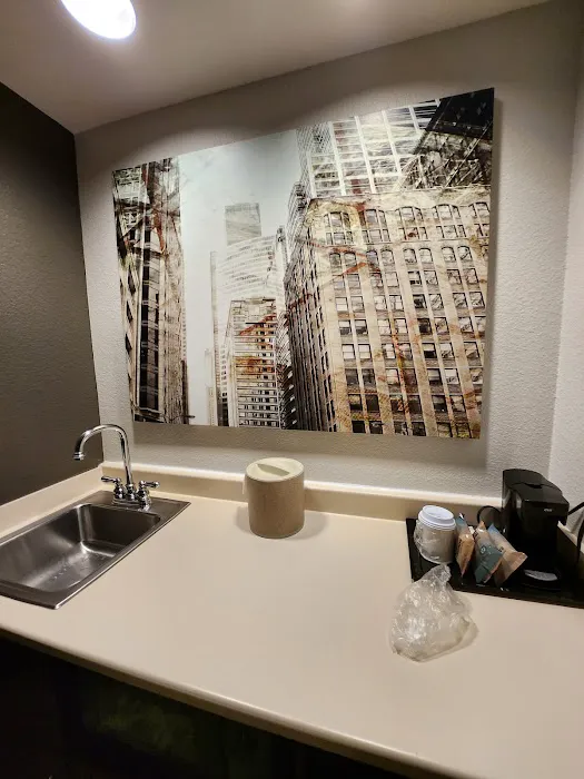 SpringHill Suites Chicago Lincolnshire 4