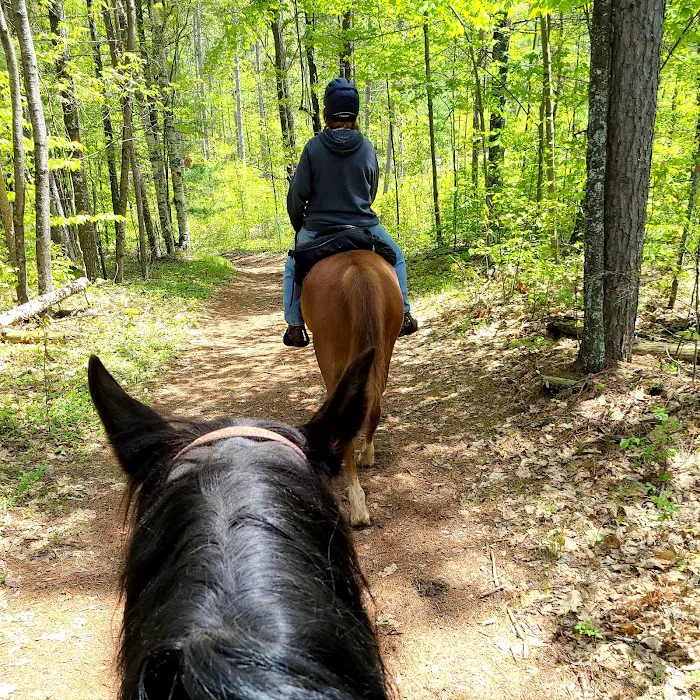 Spur of the Moment Ranch, LLC 4