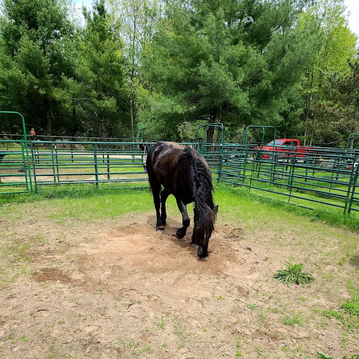 Spur of the Moment Ranch, LLC 4