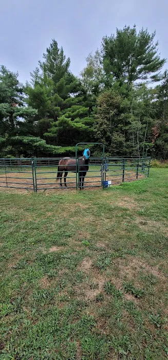 Spur of the Moment Ranch, LLC 4