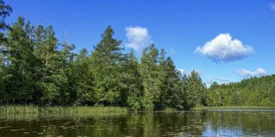 Camp Lake Resort