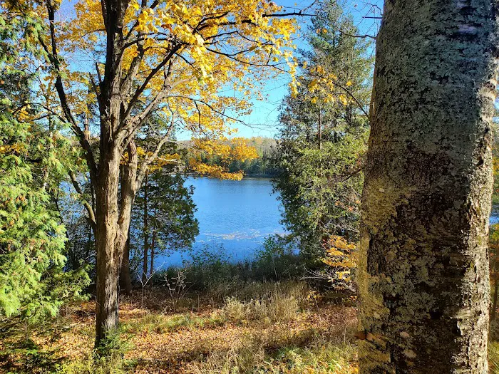 Camp Lake Resort 4