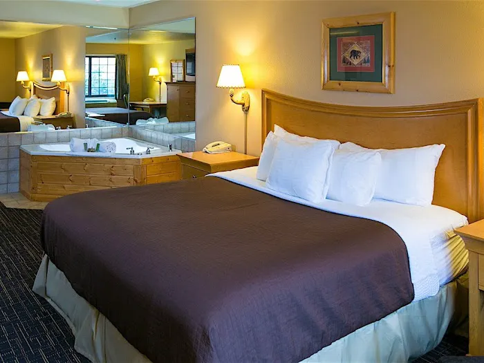 The Leo - 1 Bed 1 Bath Apartment 4