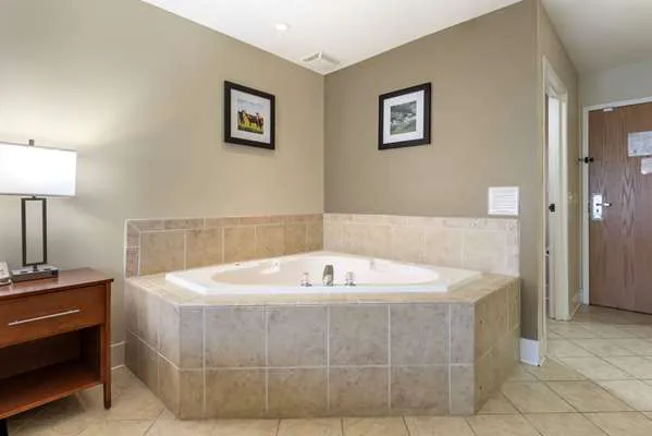 Comfort Inn & Suites Black River Falls I-94 4