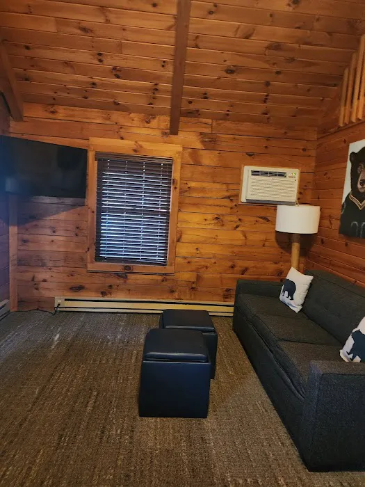 209 Log Cabins at Bluegreen Christmas Mountain Village 4