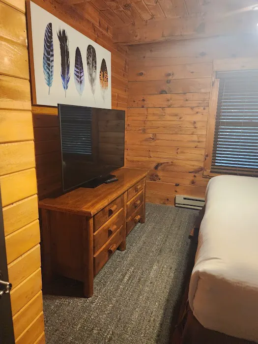 209 Log Cabins at Bluegreen Christmas Mountain Village 4