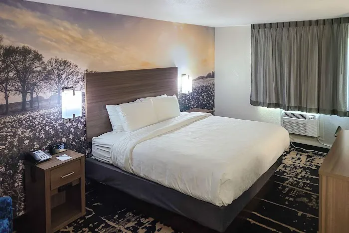 Holiday Inn & Suites Davenport by IHG 4