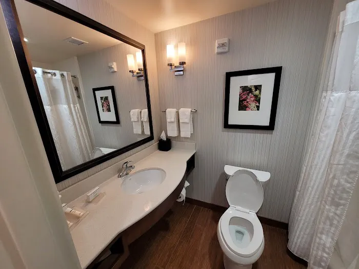 Hilton Garden Inn Bettendorf/Quad Cities 4