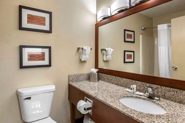 Comfort Inn Moline - Quad Cities 4