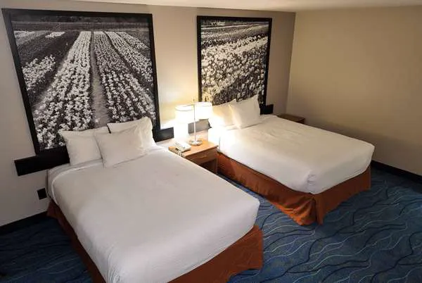 Super 8 by Wyndham Hampshire IL 4