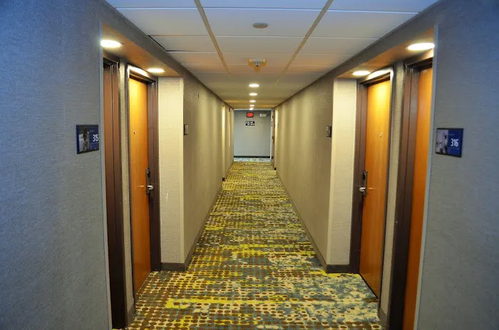 Hampton Inn & Suites Chicago/Hoffman Estates 4