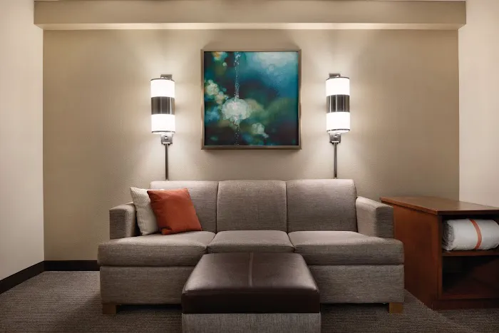 Hyatt Place Chicago/Hoffman Estates 4
