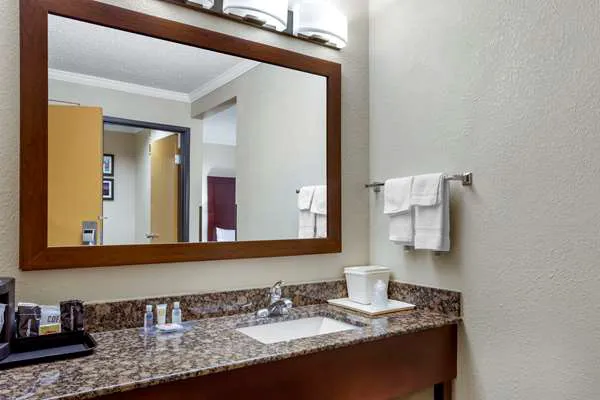 Comfort Inn Hoffman Estates - Schaumburg 4