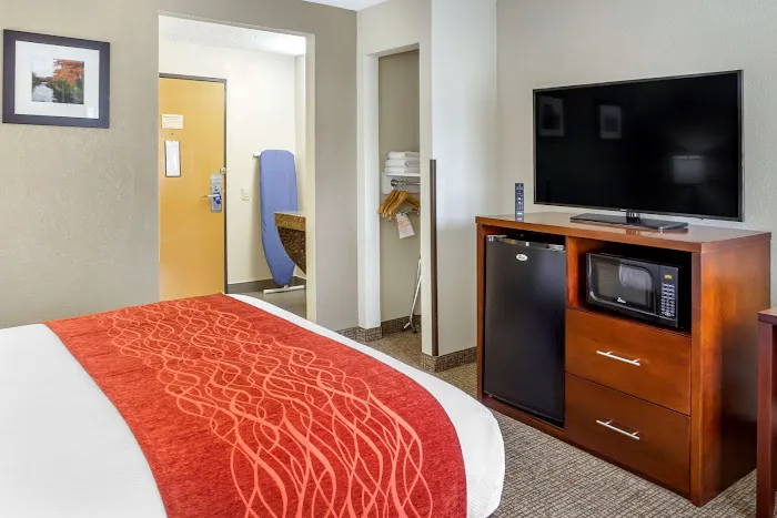 Comfort Inn Hoffman Estates - Schaumburg 4