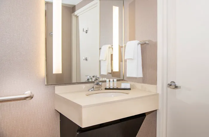 Embassy Suites by Hilton Chicago North Shore Deerfield 4