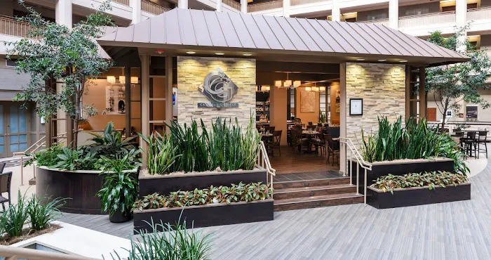 Embassy Suites by Hilton Chicago North Shore Deerfield 4