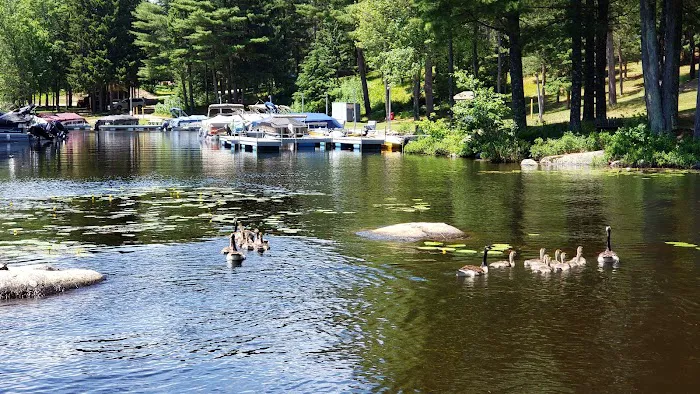 Pine Acres Resort 4