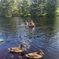 Tall Pines Lodge ico