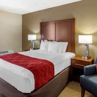 Comfort Inn & Suites ico