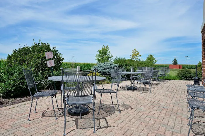 Holiday Inn Express Rochelle by IHG 4