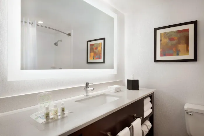 Holiday Inn Rock Island - Quad Cities by IHG 4