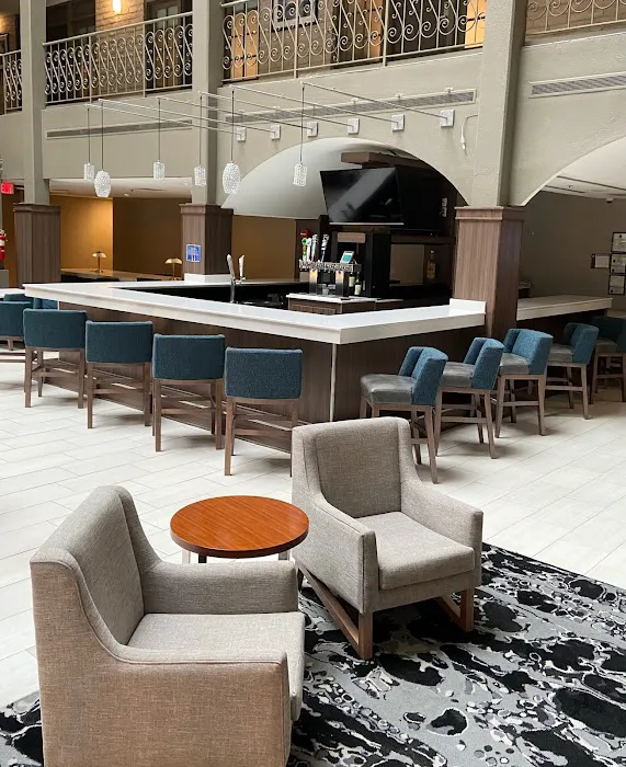 Embassy Suites by Hilton Chicago Schaumburg Woodfield 4
