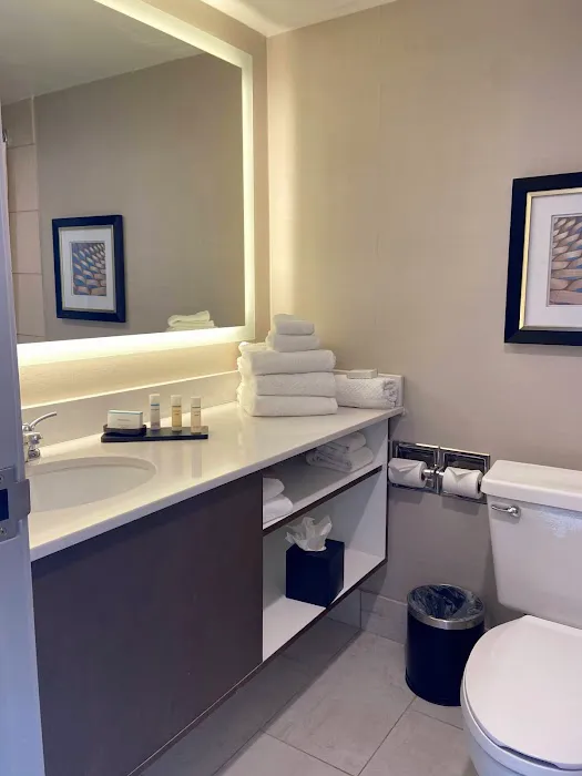 Embassy Suites by Hilton Chicago Schaumburg Woodfield 4