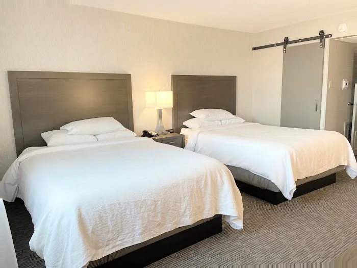 Embassy Suites by Hilton Chicago Schaumburg Woodfield 4