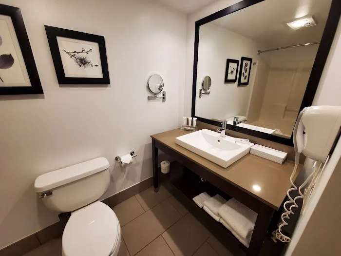 Country Inn & Suites by Radisson, Schaumburg, IL 4
