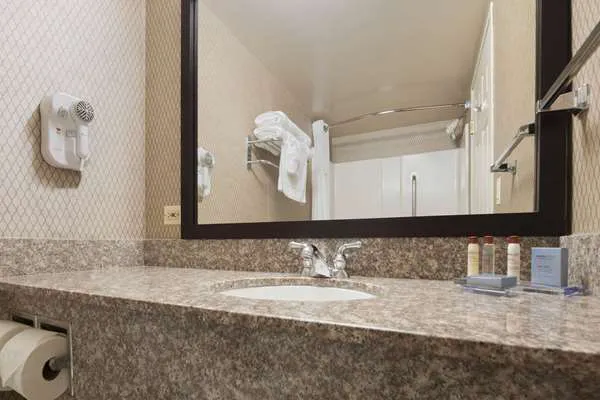 Wingate by Wyndham Chicago Schaumburg 4