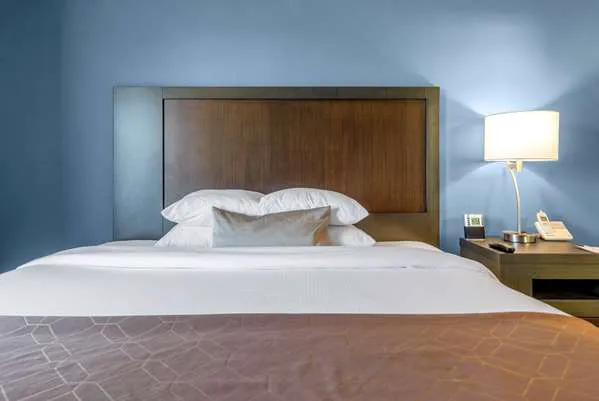 Wingate by Wyndham Chicago Schaumburg 4