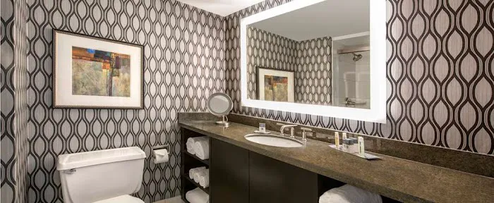 DoubleTree by Hilton Chicago Schaumburg 4