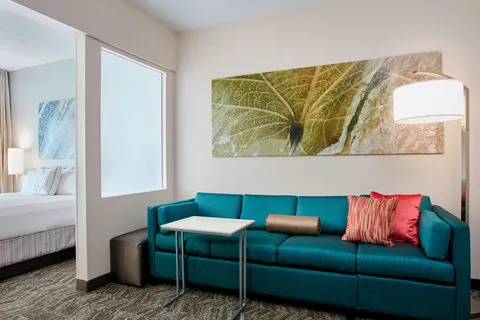 SpringHill Suites Chicago Schaumburg/Woodfield Mall 4