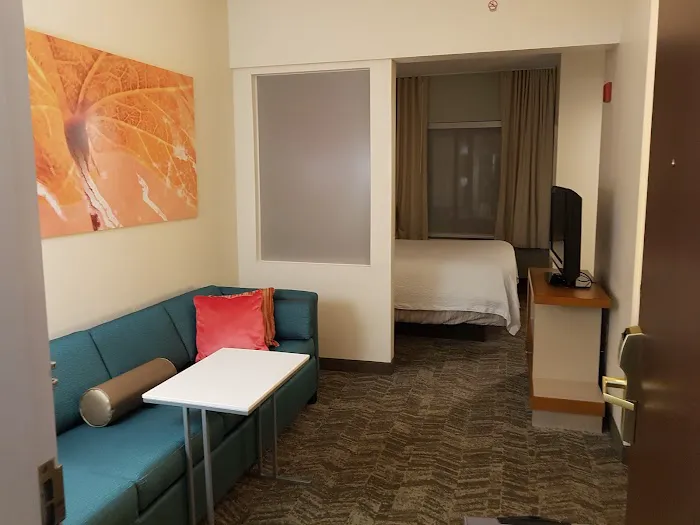 SpringHill Suites Chicago Schaumburg/Woodfield Mall 4