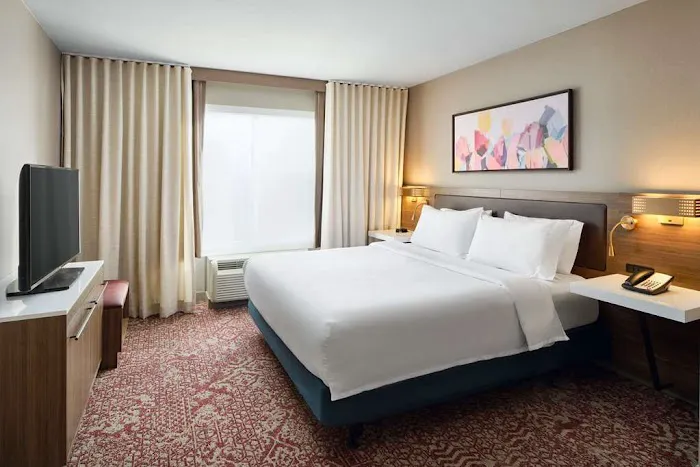 Hilton Garden Inn Schaumburg 4