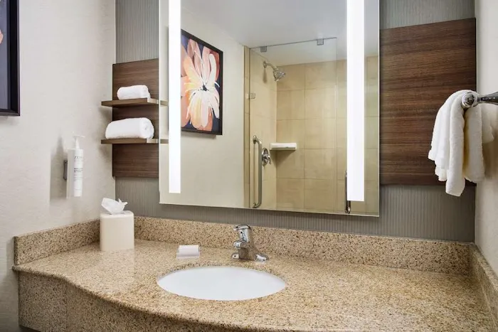 Hilton Garden Inn Schaumburg 4