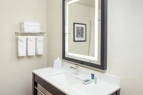 Four Points by Sheraton Chicago Schaumburg 4