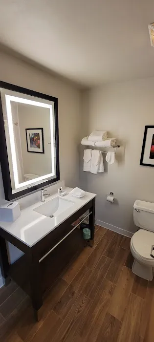 Four Points by Sheraton Chicago Schaumburg 4