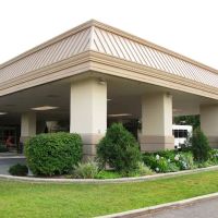 Woodfield ico