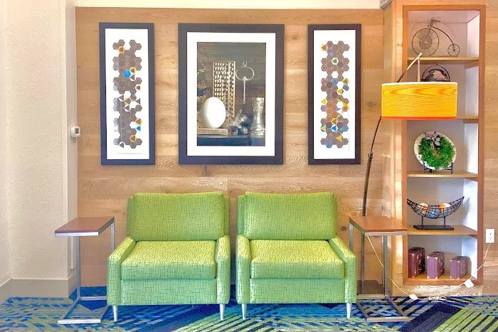 Holiday Inn Express & Suites Chicago - Prospect Heights, an IHG Hotel 4