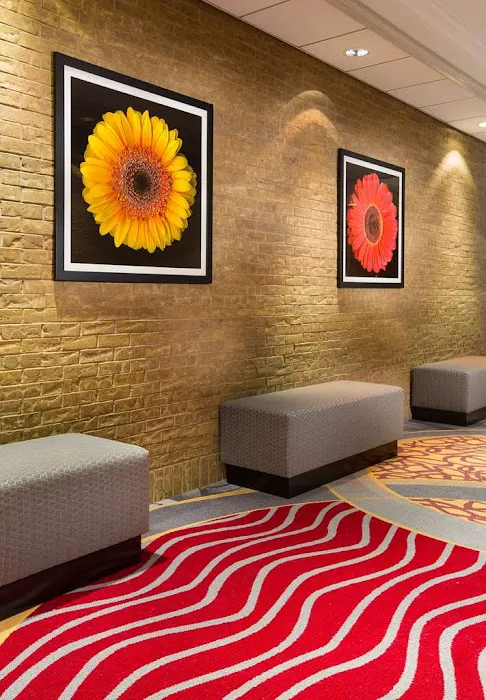 Hilton Chicago/Northbrook 4