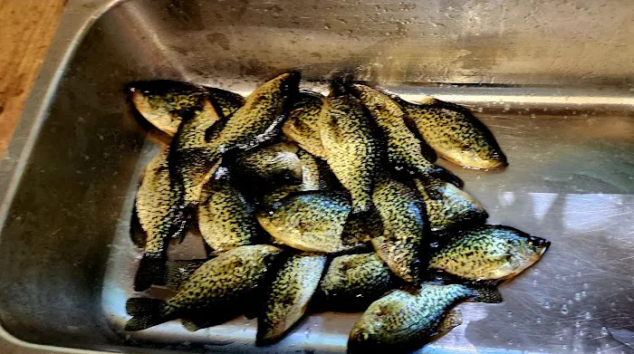 Northwoods Reel'em In Resort LLC 4