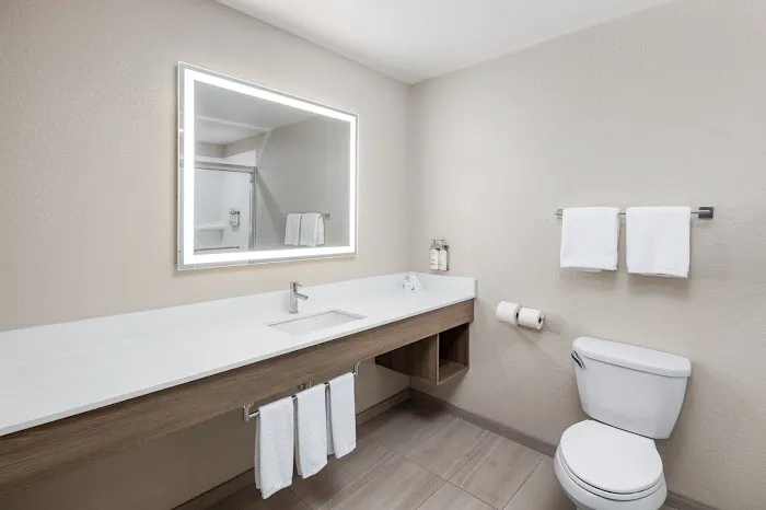 Holiday Inn Express & Suites Green Bay East by IHG 4