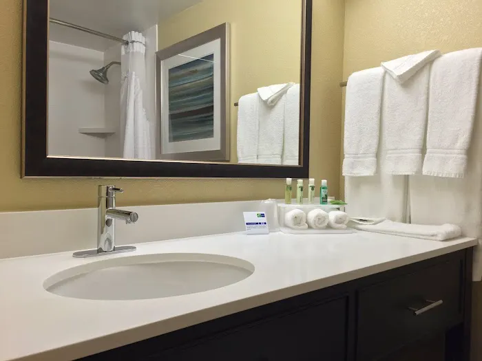 Holiday Inn Express Chicago NW - Arlington Heights by IHG 4