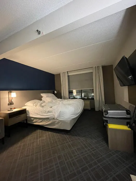 Comfort Inn & Suites Arlington Heights - Schaumburg 4