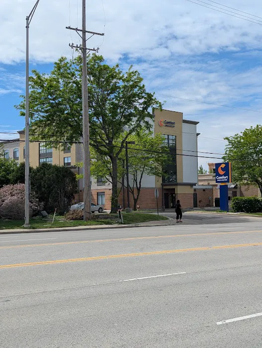 Comfort Inn & Suites Arlington Heights - Schaumburg 4