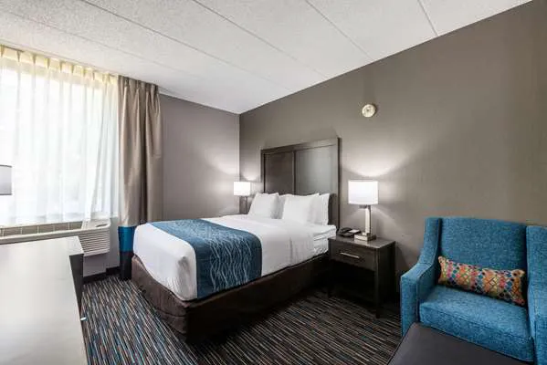 Comfort Inn Chicago Schaumburg - O'Hare Airport 4
